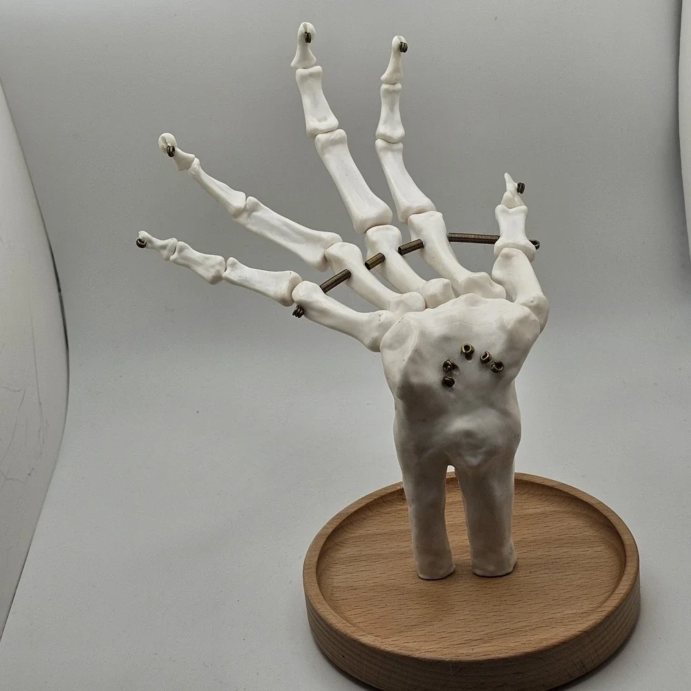 Suck UK Skeleton Hand Jewelry Tidy Holder Organizer Halloween